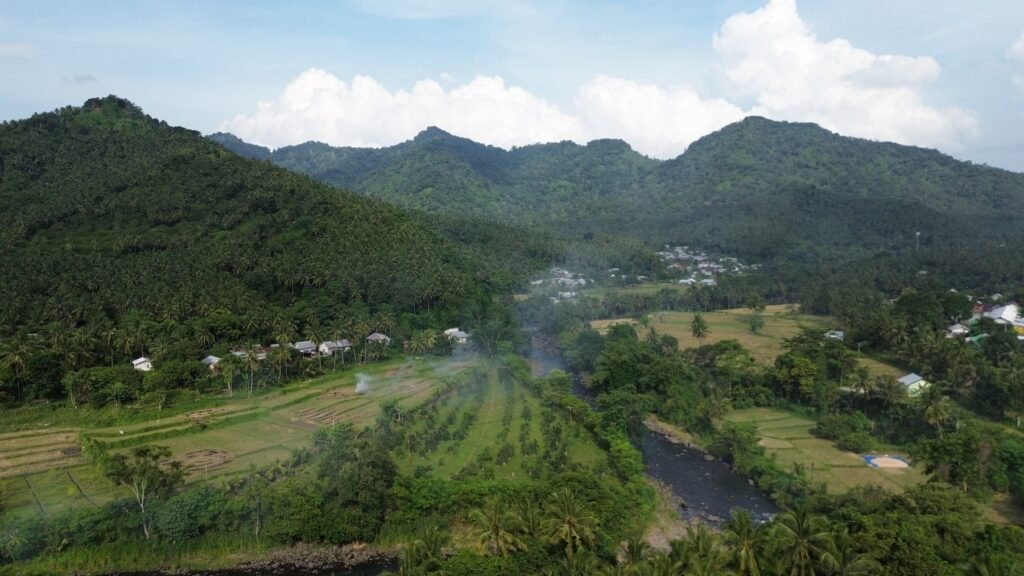 Rijstvelden in een groene vallei op Lombok