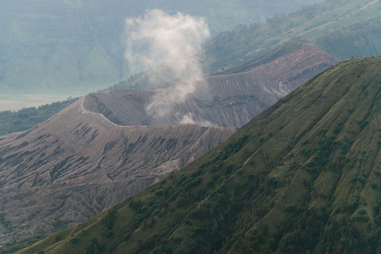De Bromo met rookpluim tussen de groene hellingen
