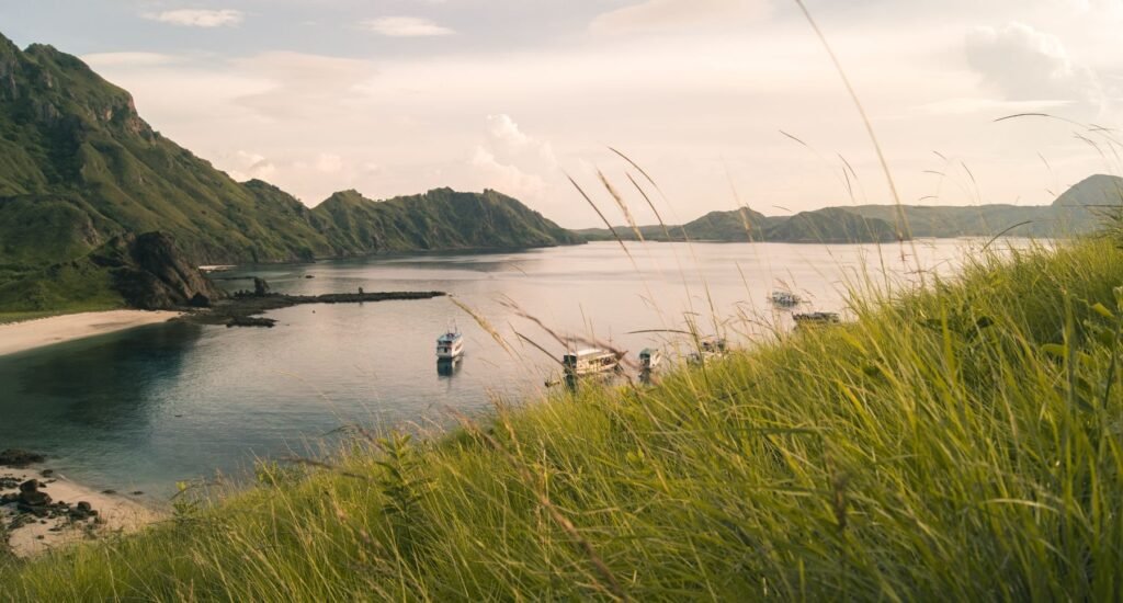 Heuvels en een baai aan de kust van Flores