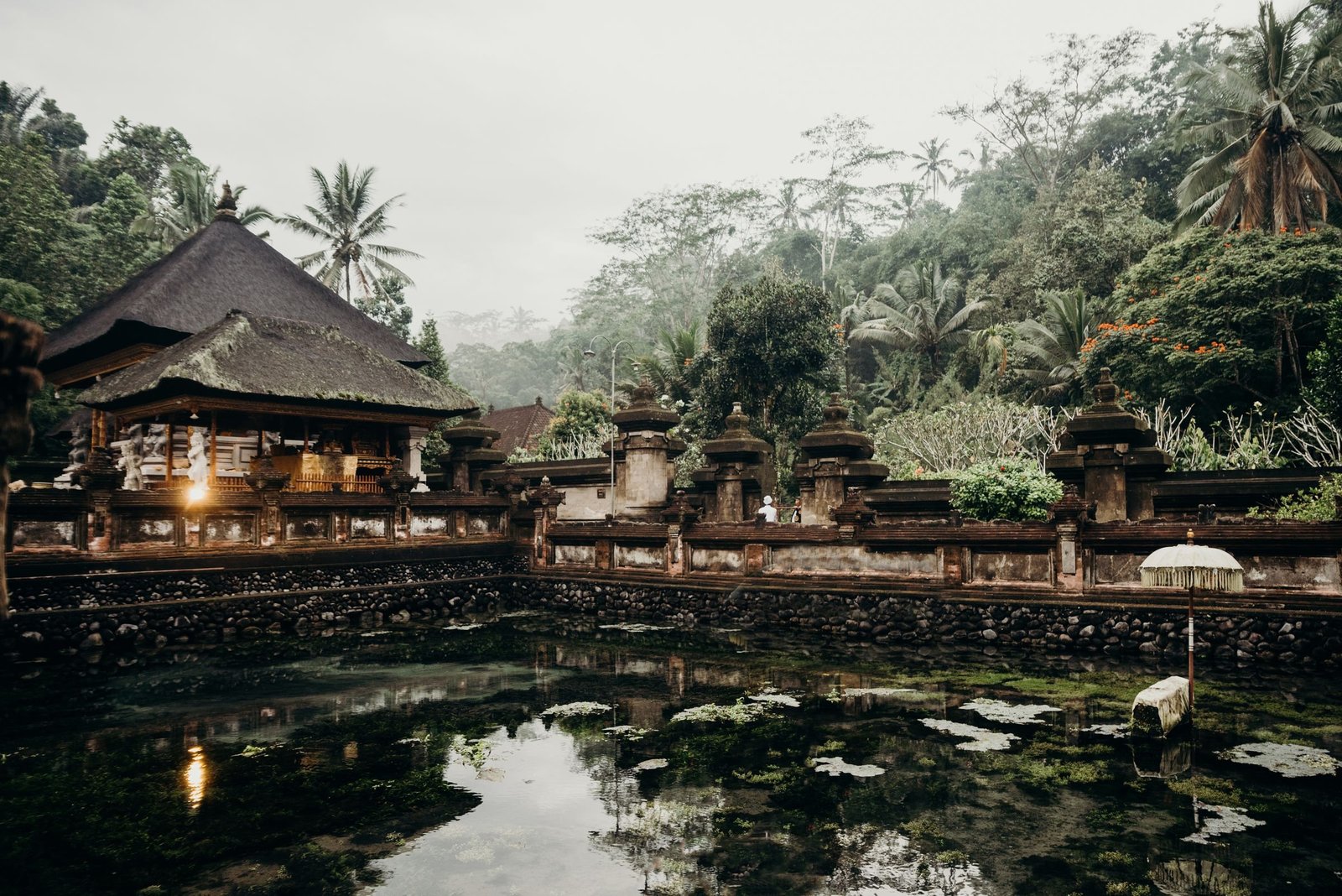 Tempel met lotusvijver bij Ubud