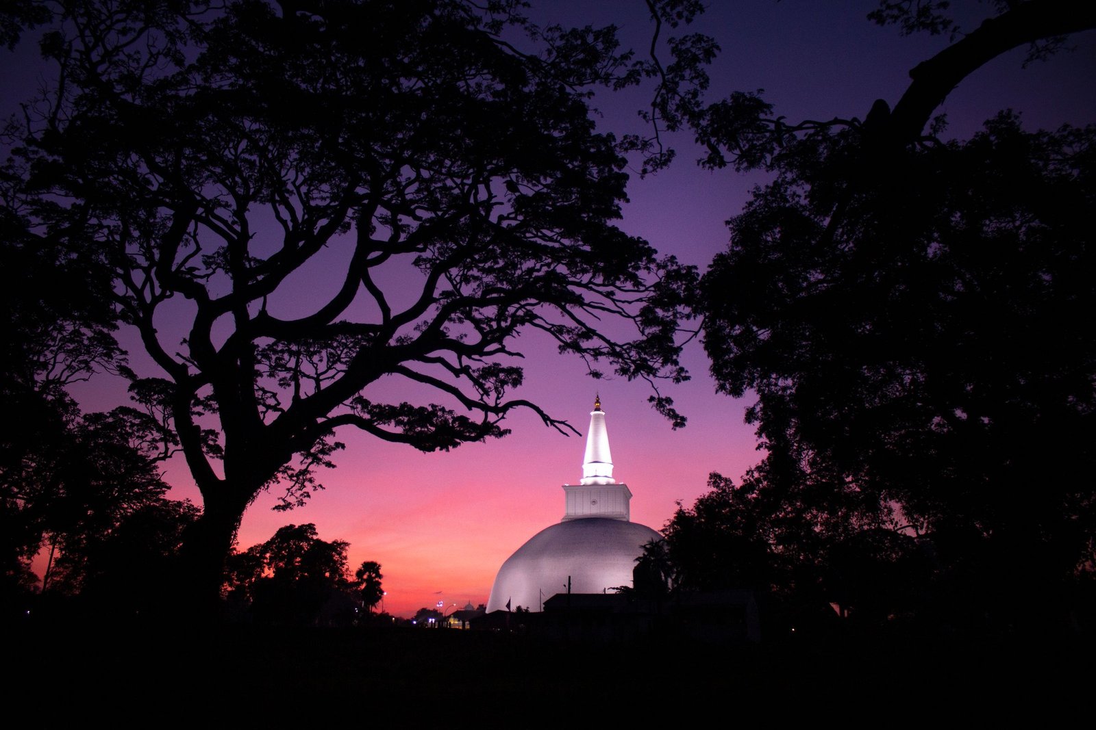 De Ruwanwelisaya-stupa bij schemering tussen de bomen in Anuradhapura
