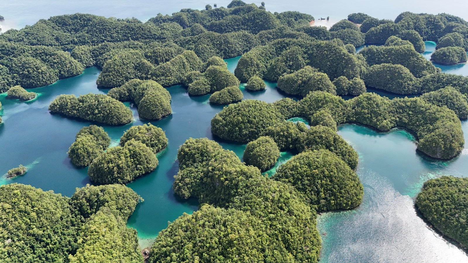 Luchtfoto van de begroeide eilandjes rond Sohoton Cove bij Siargao