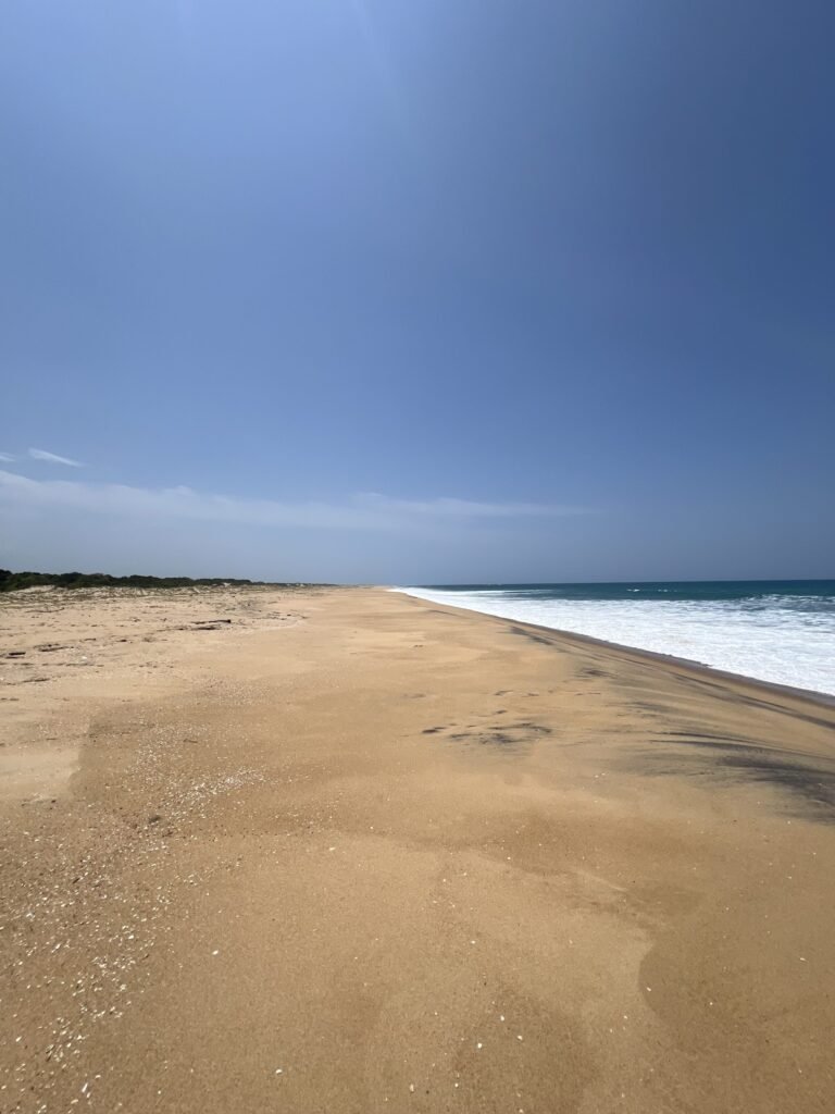 Leeg strand aan de kust van Kumana National Park in Sri Lanka