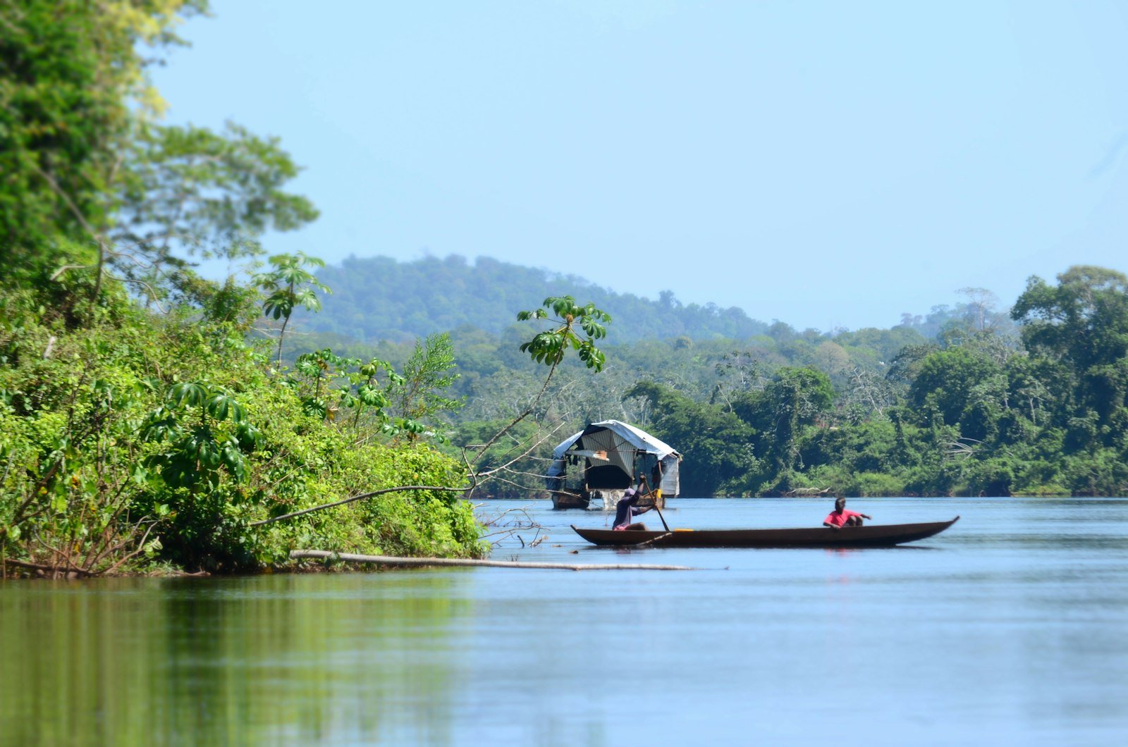 Kleine boot op een brede rivier door het regenwoud van Suriname