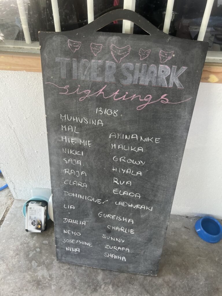 Bord met waargenomen tijgerhaaien bij een duikschool op Fuvahmulah