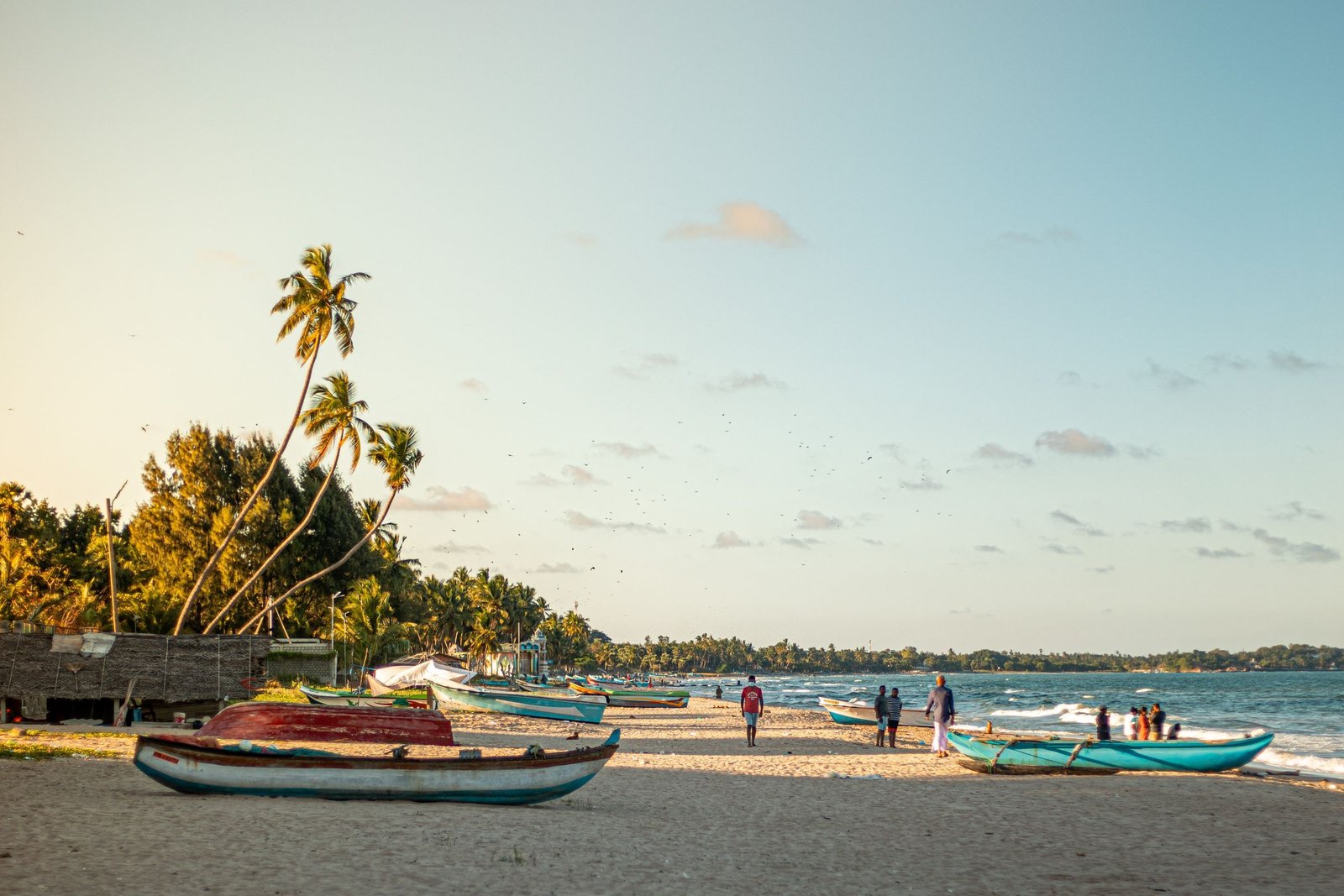 Strand met vissersboten en palmbomen in Trincomalee