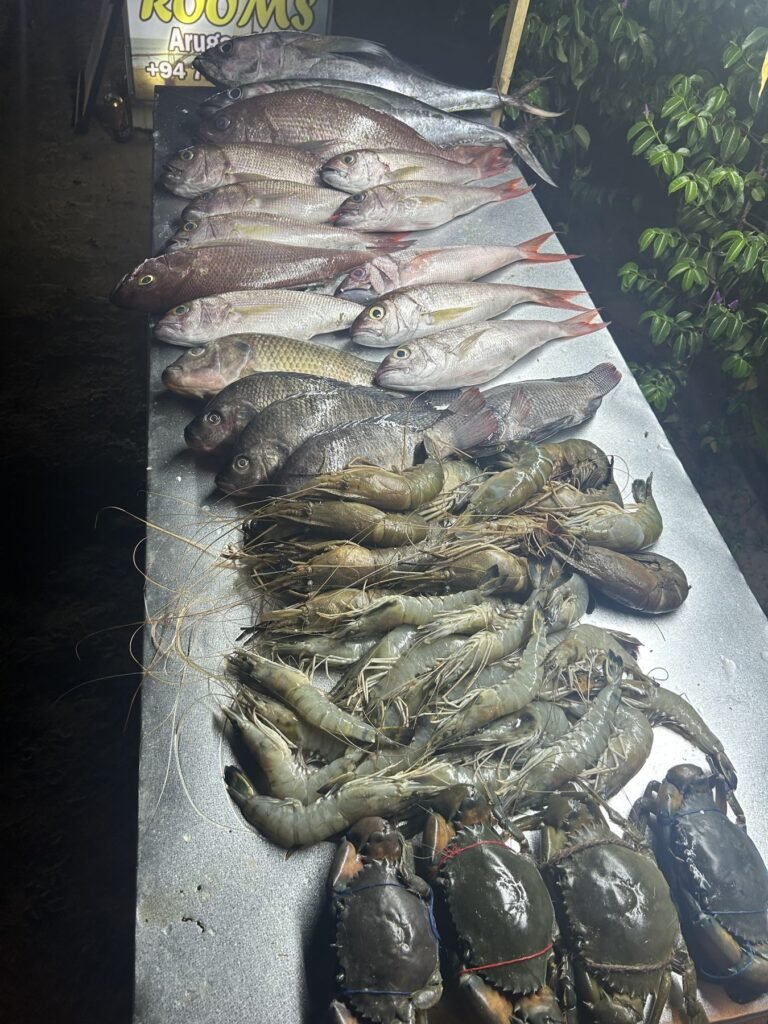 Verse vangst van de dag op ijs bij een visrestaurant in Arugam Bay