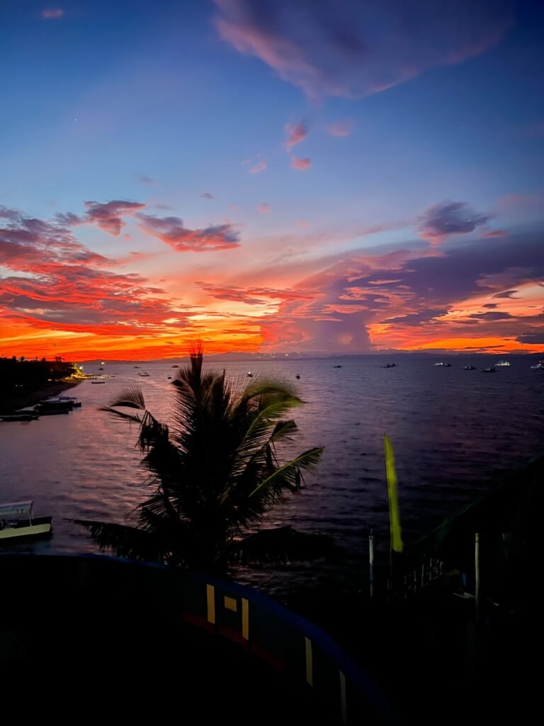 Oranje zonsopkomst met palmboom boven zee op Malapascua