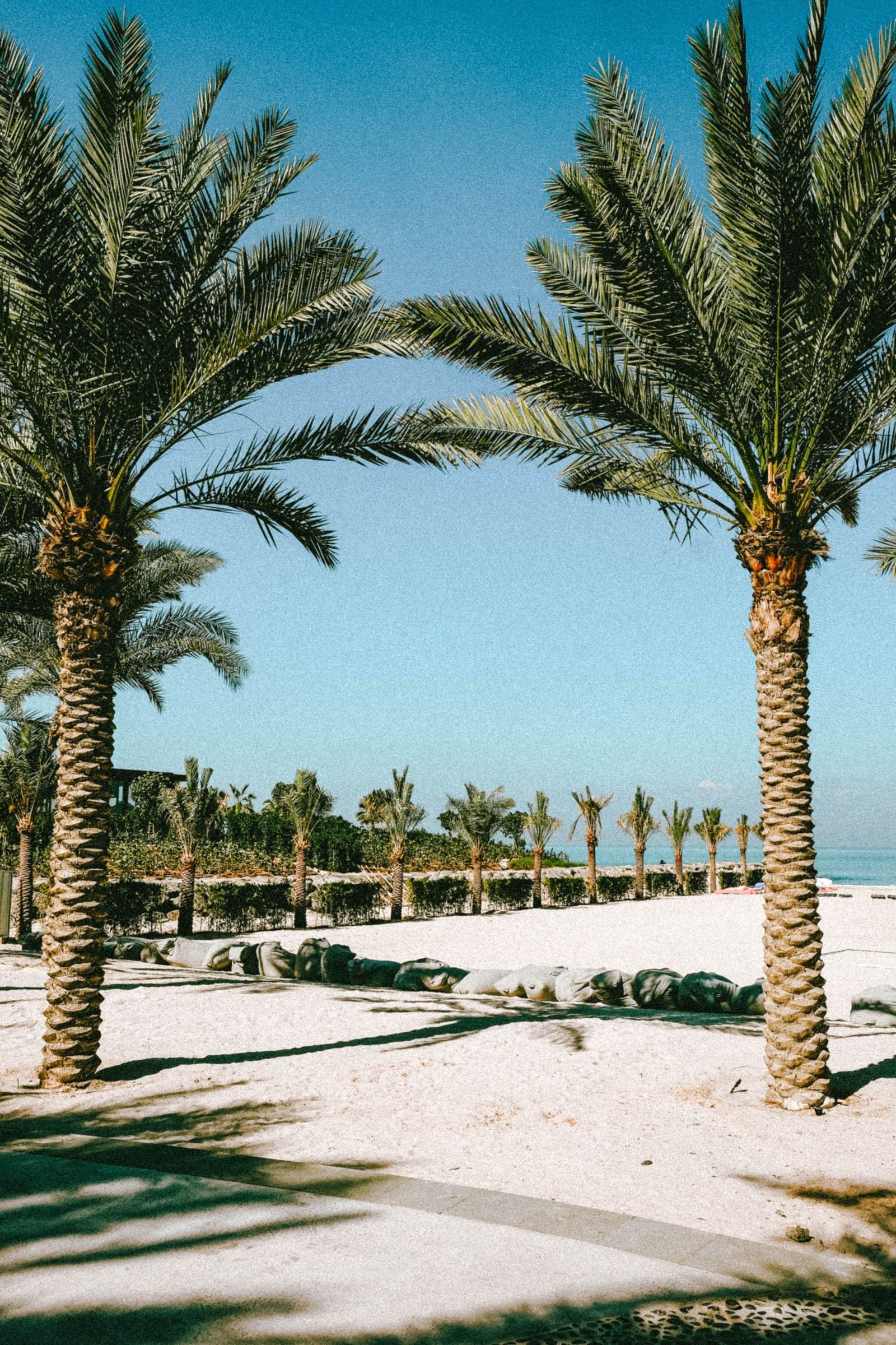 Strand met palmbomen in Ras al Khaimah