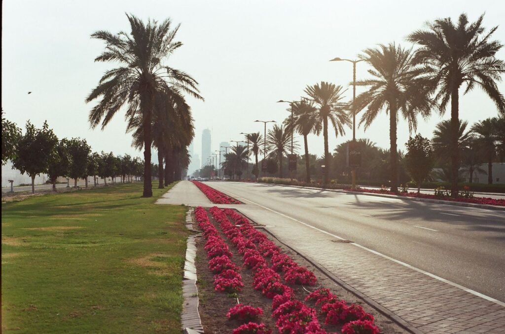 Laan met palmbomen in Dubai
