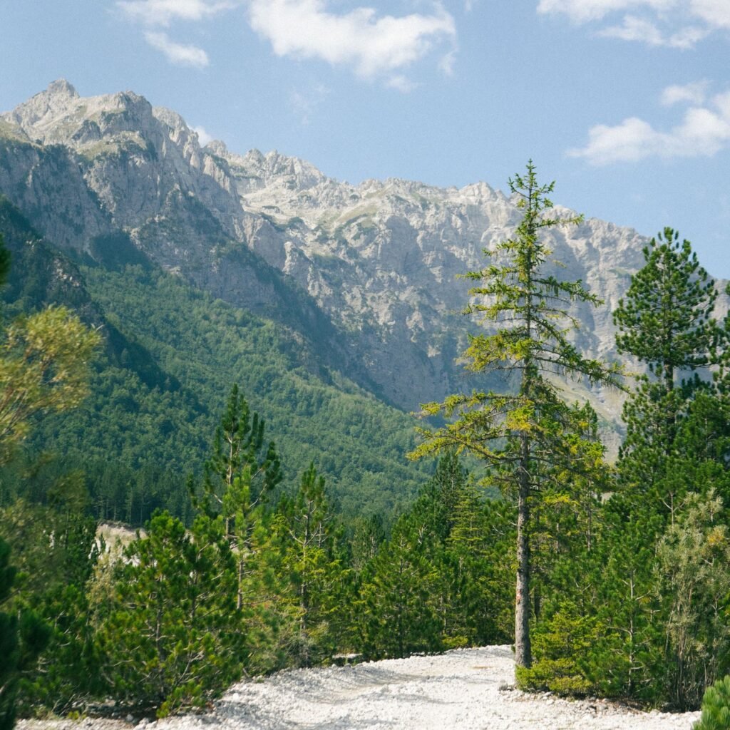 Berglandschap in de Valbona-vallei