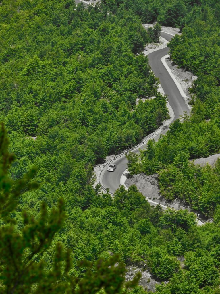 Kronkelende weg door het bos in Albanië