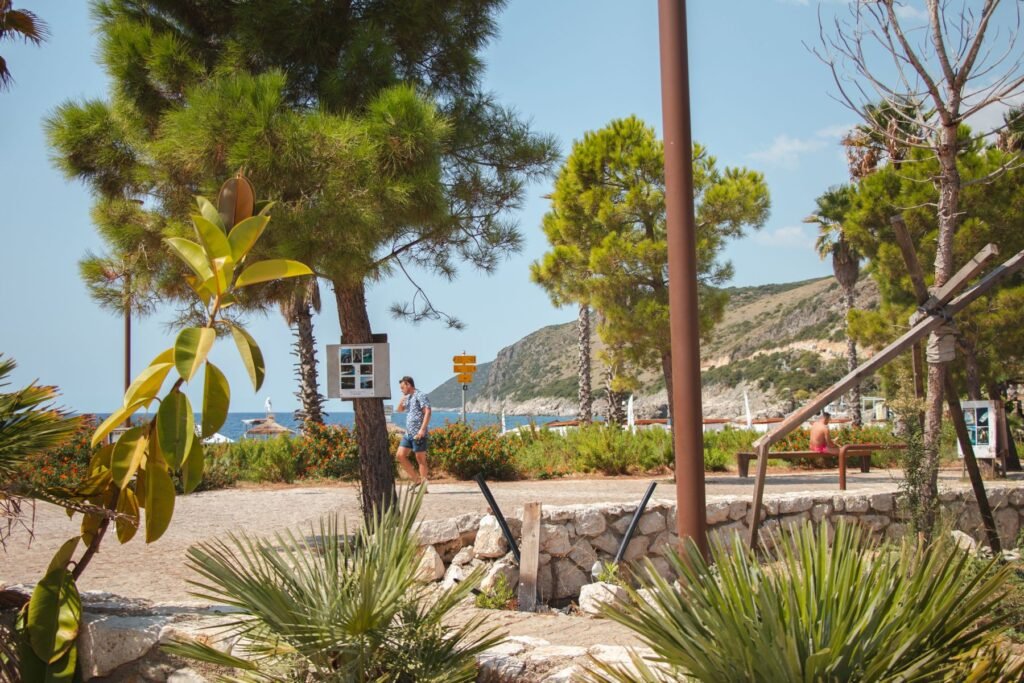 Palmen langs de boulevard van Vlorë