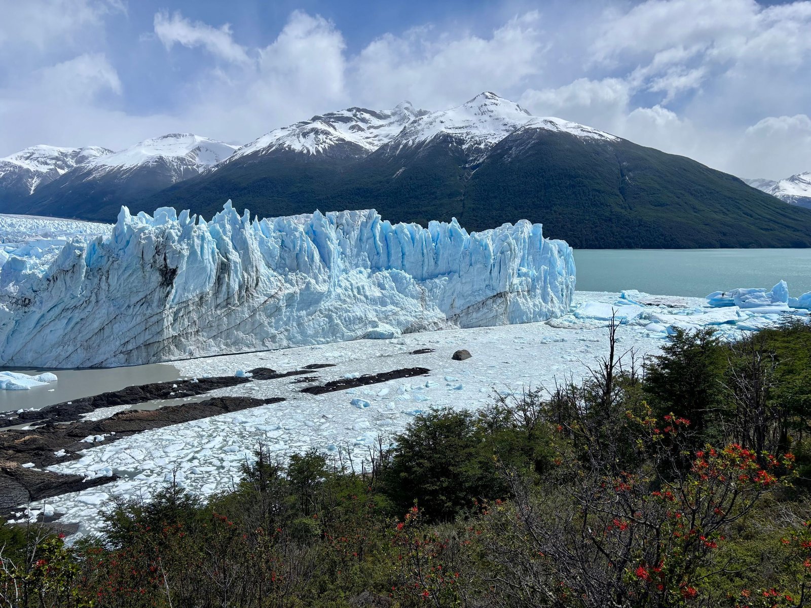 Gletsjer en bos bij El Calafate
