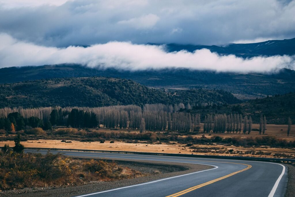 Weg door het weidse landschap van Argentinië