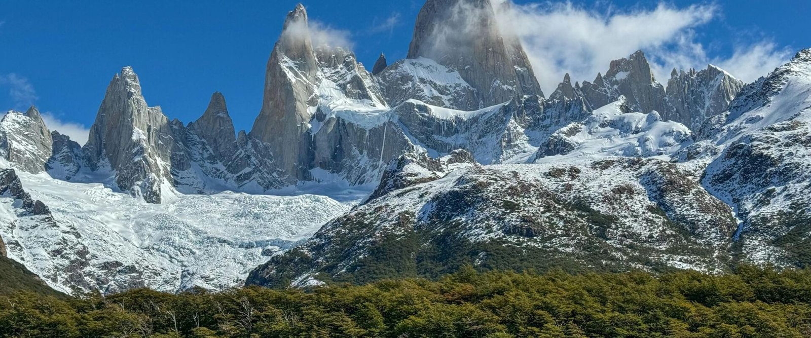 Fitz Roy-massief met bos in Argentijns Patagonië
