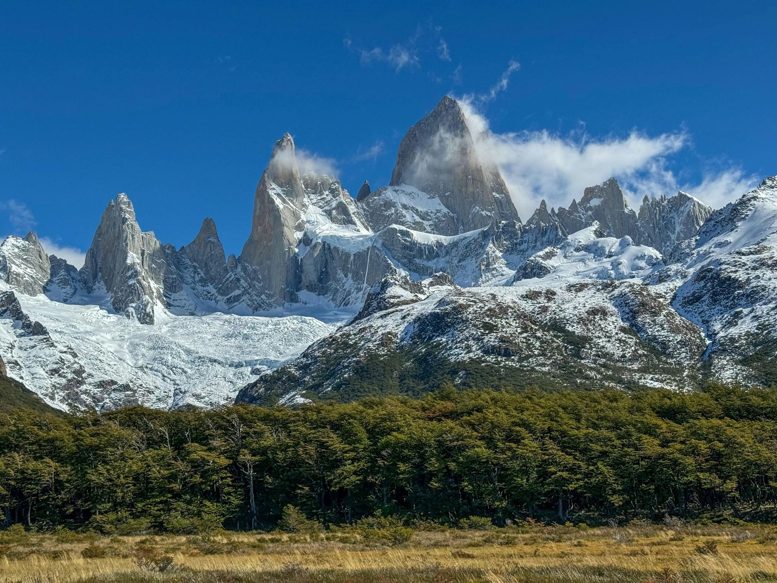 Fitz Roy-massief met bos in Argentijns Patagonië