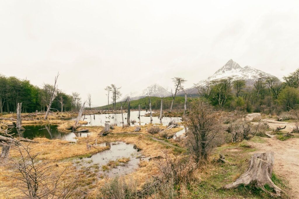 Het dorp El Chaltén met de Fitz Roy op de achtergrond