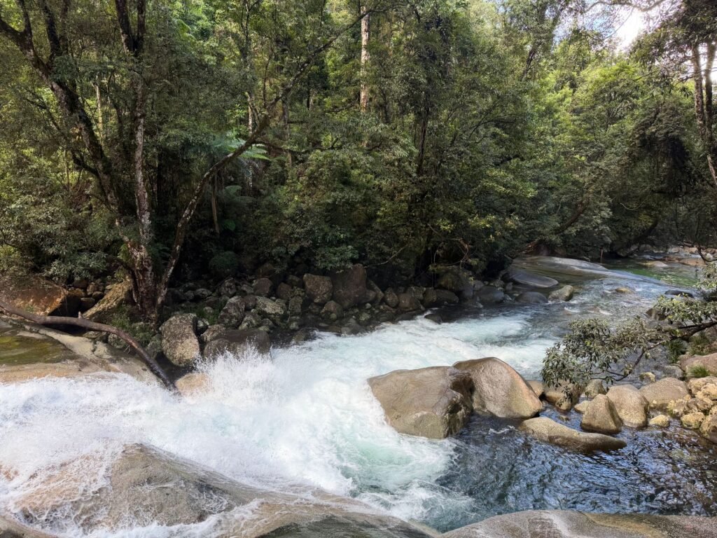 Bergstroom in Daintree National Park