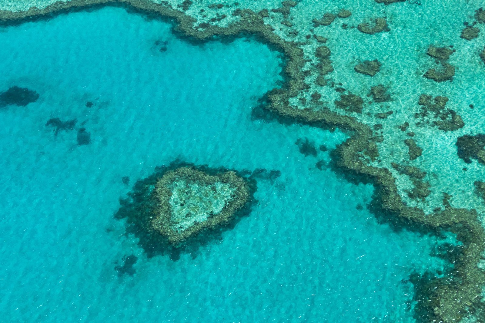 Heart Reef in het Great Barrier Reef van bovenaf