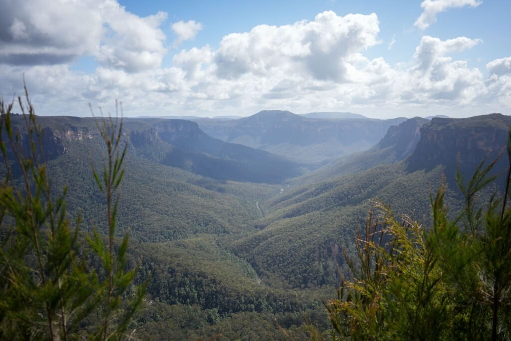 Vallei in de Blue Mountains
