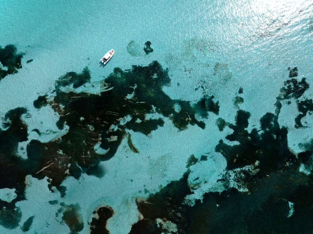 Baai bij Rottnest Island van bovenaf