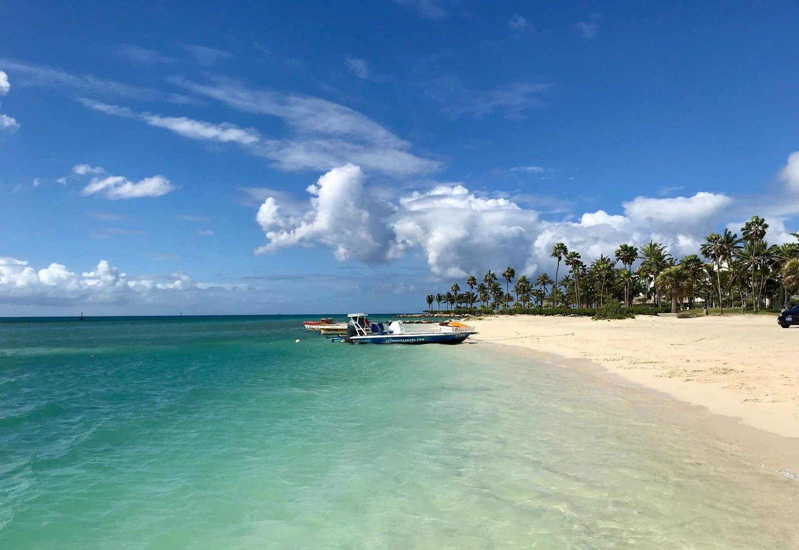 Zandstrand met palmen op Aruba