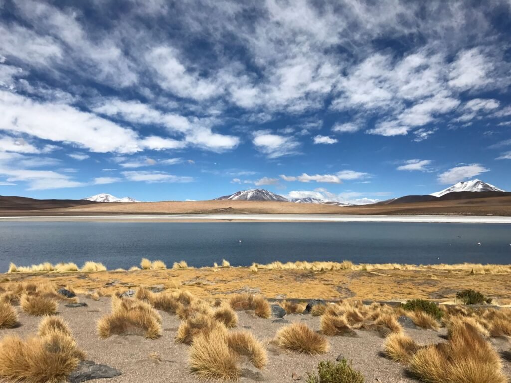 Lagune met graspollen en besneeuwde bergen in Bolivia
