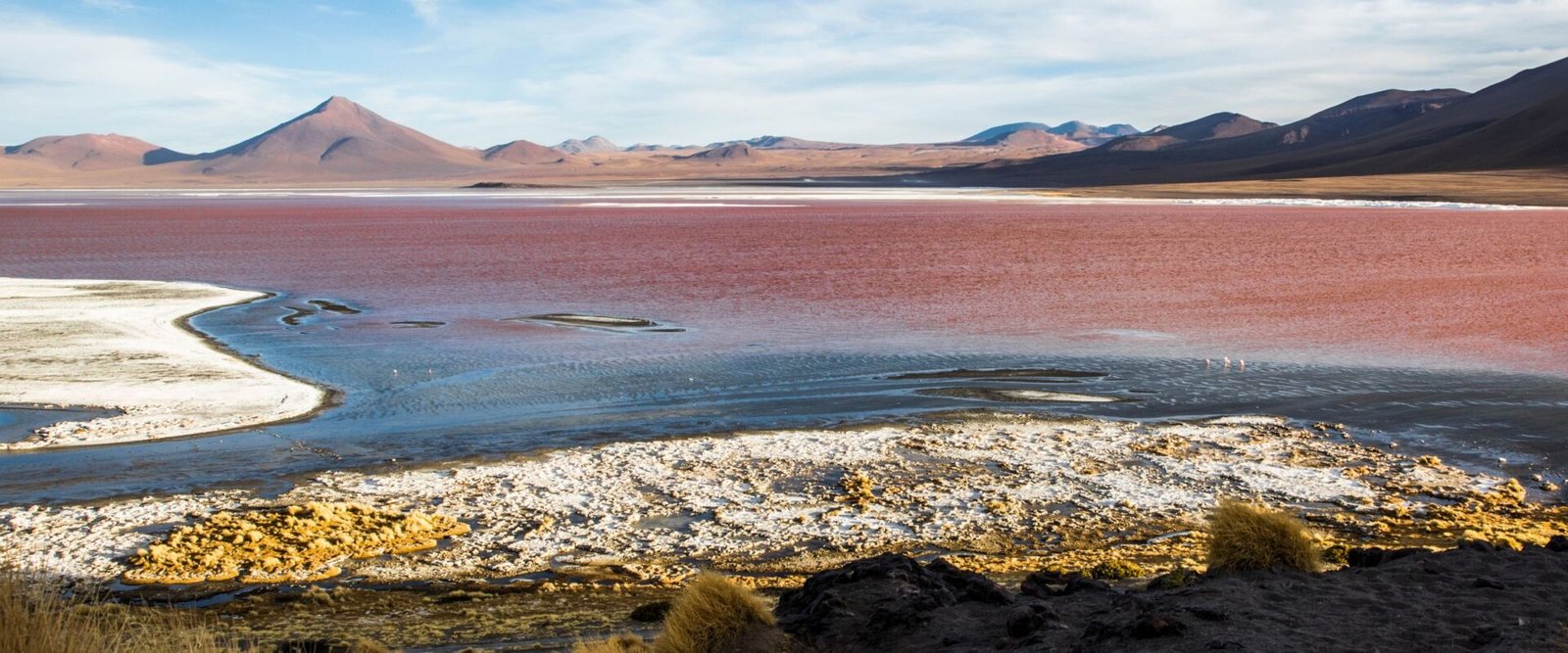 Laguna Colorada met roodgekleurd water