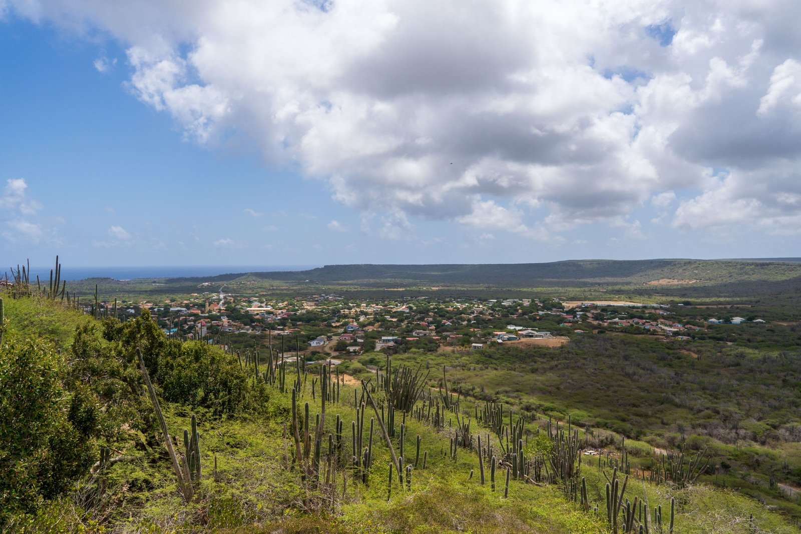 Groen landschap van Bonaire