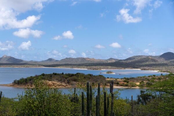 Baai met cactussen en heuvels op Bonaire