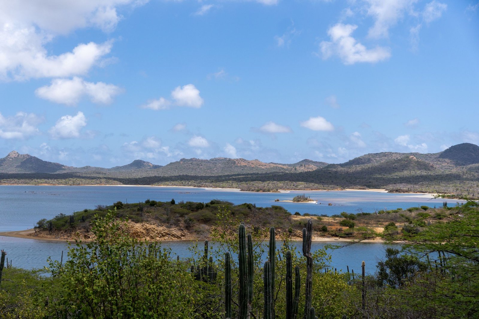 Baai met cactussen en heuvels op Bonaire