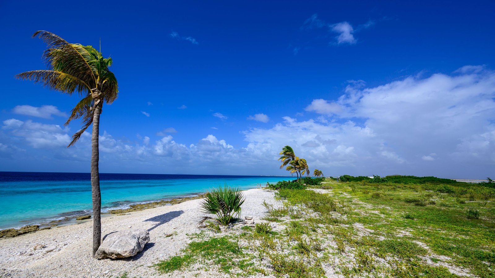 Beste reistijd voor Bonaire: weer, wind en drukte per seizoen