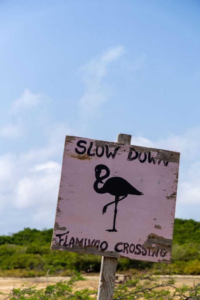 Bord voor overstekende flamingo's op Bonaire