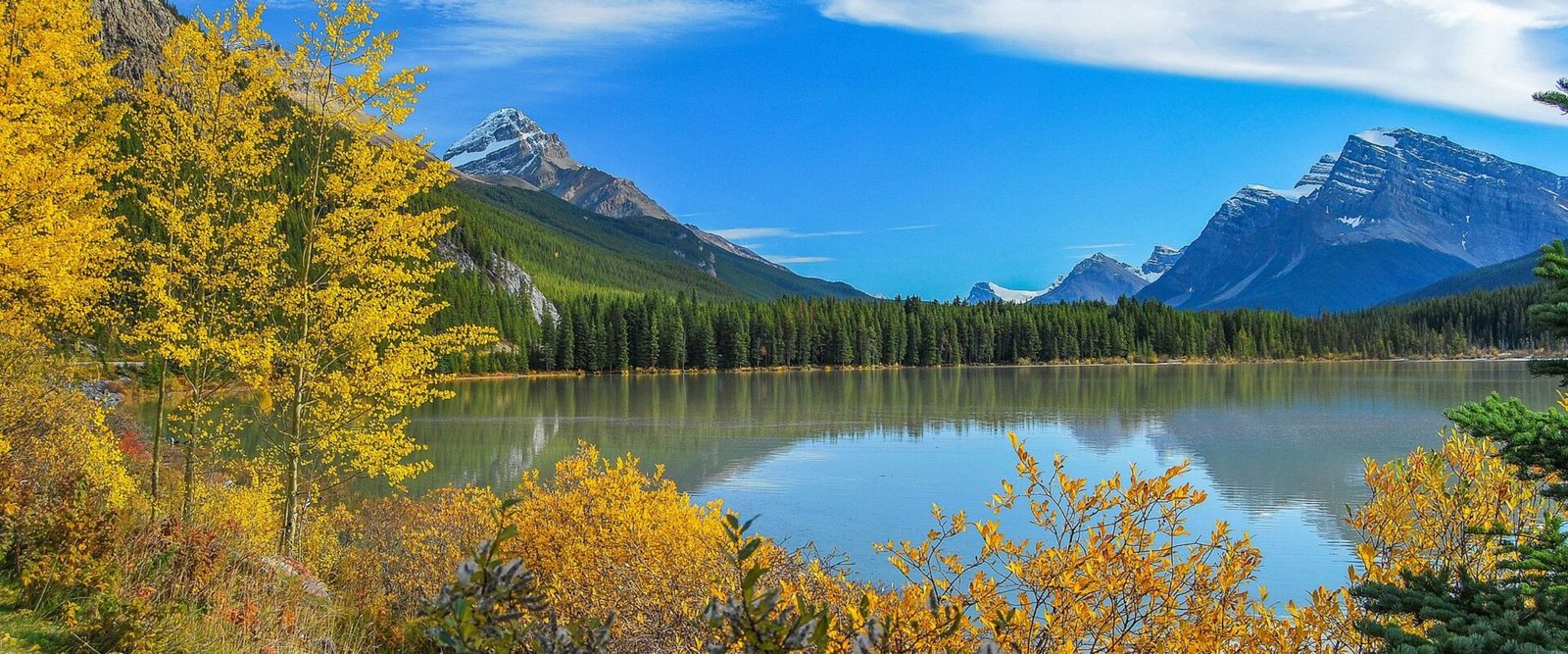 Herfst aan de Waterfowl Lakes in Banff National Park