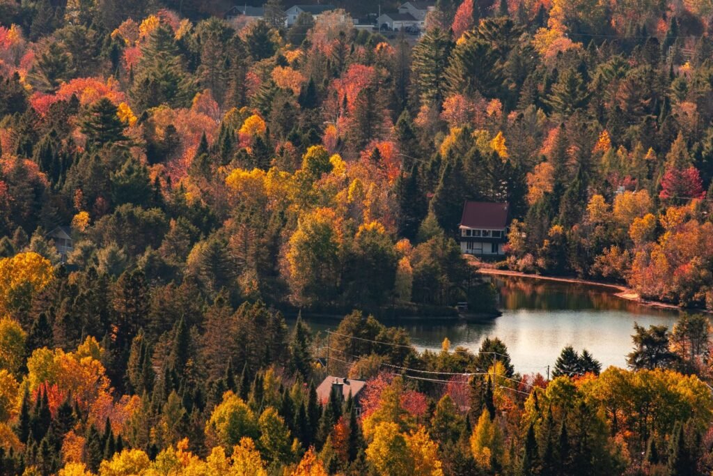 Herfstkleuren rond een meer in Québec