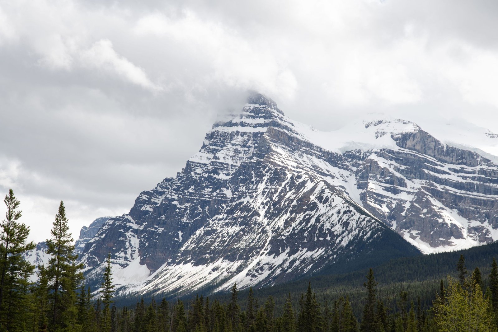 Besneeuwde bergen langs de Icefields Parkway