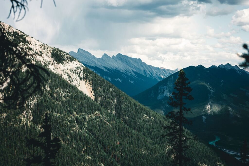 Bergen en bos in Banff National Park