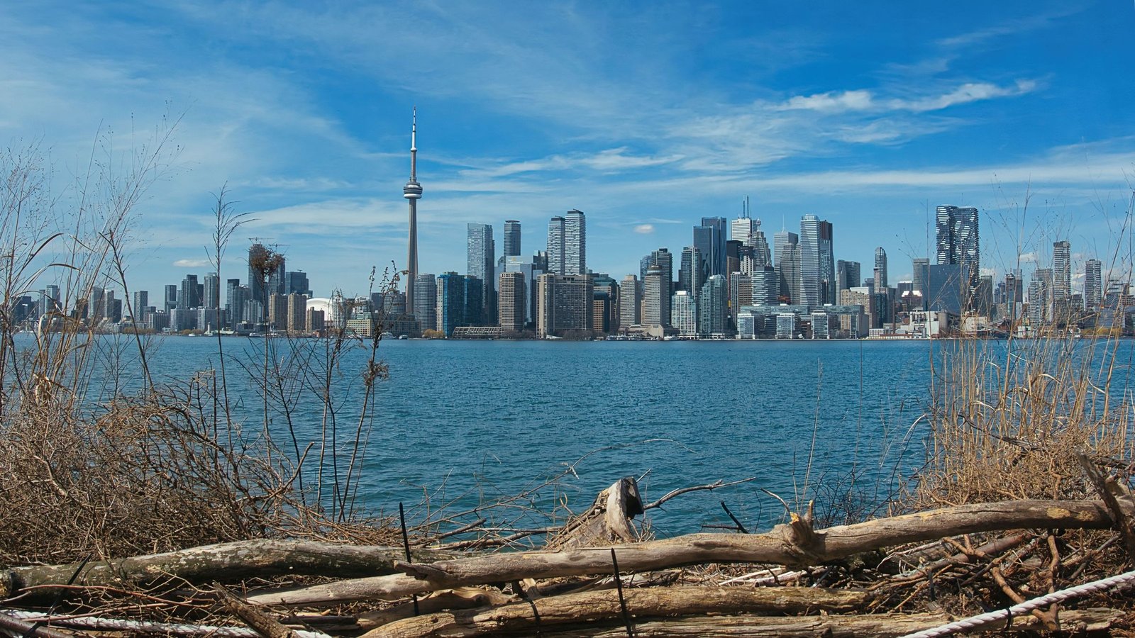 Skyline van Toronto vanaf de eilanden
