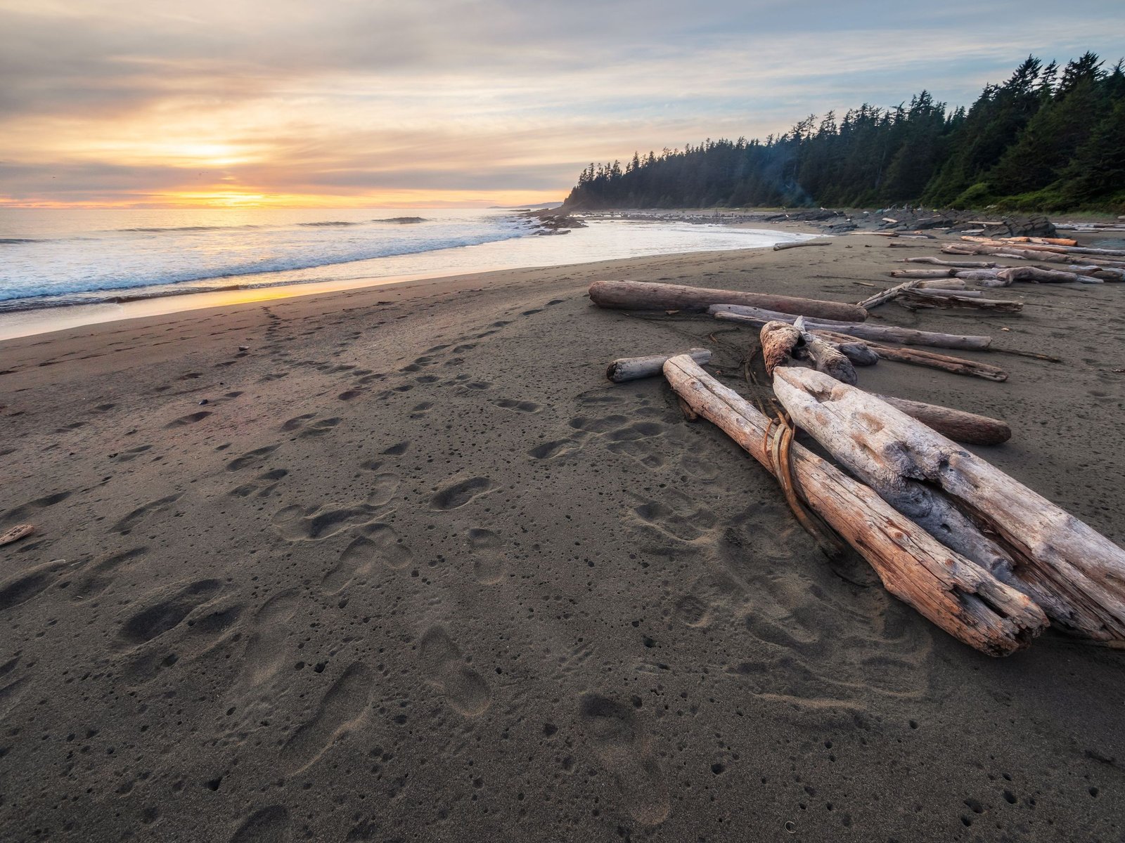 Strand met drijfhout op Vancouver Island