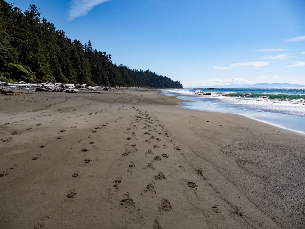 Strand langs het bos op Vancouver Island
