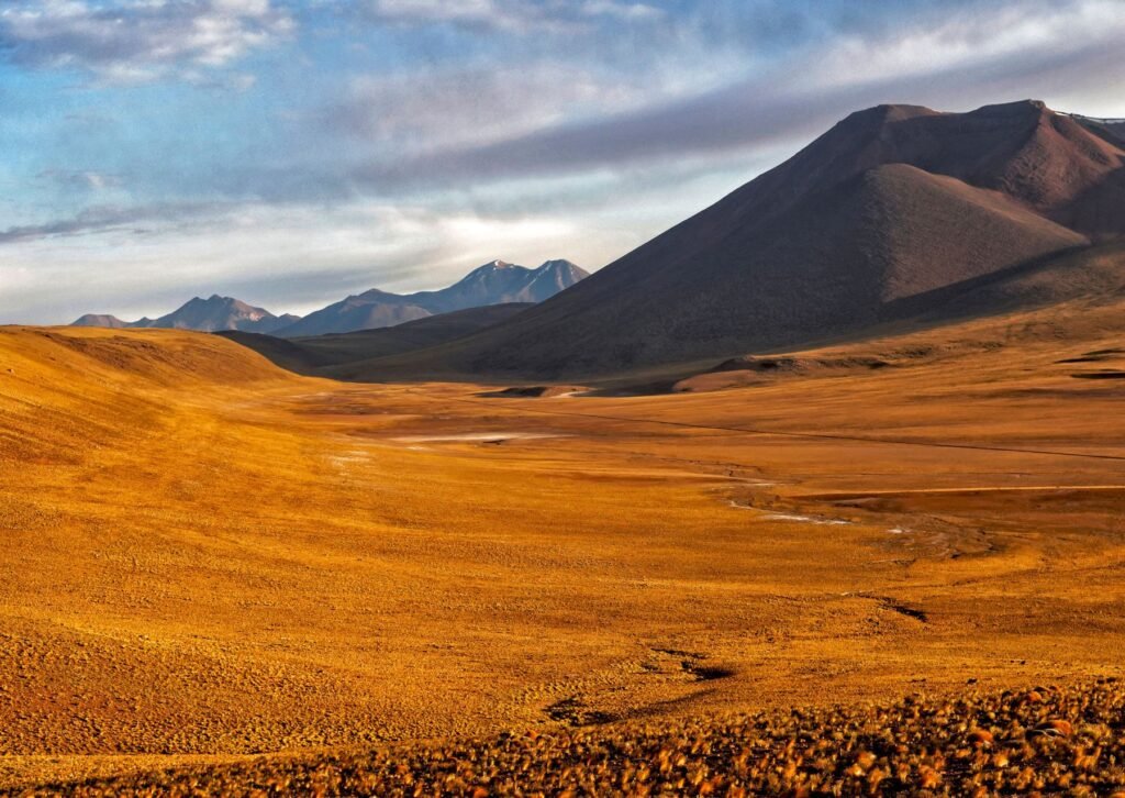 Vulkaan en goudkleurige vlakte in de Atacama