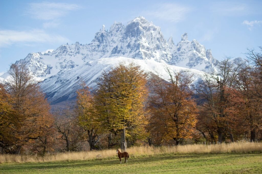 Besneeuwde berg en herfstbomen bij Coyhaique