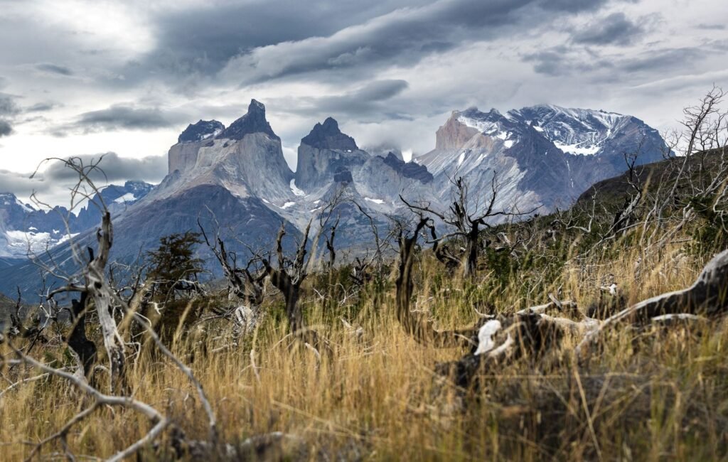 Torres del Paine boven droog gras en struiken