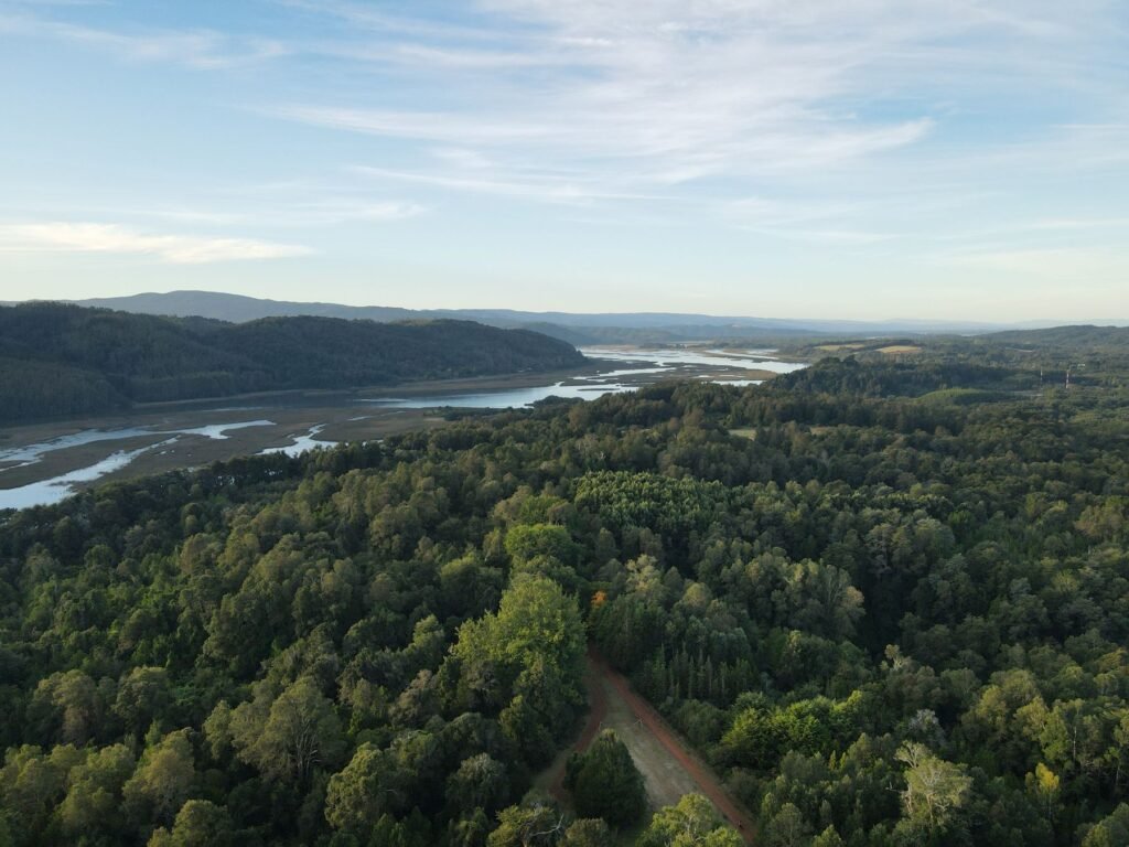 Bossen en een rivier in het zuiden van Chili van bovenaf