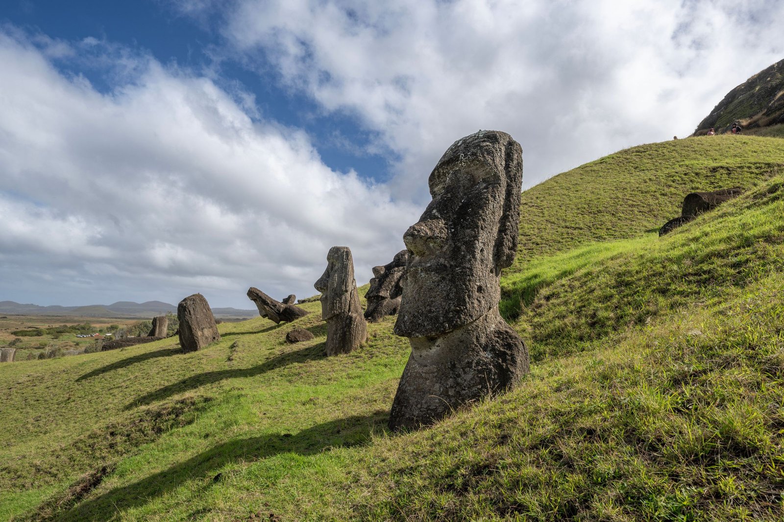 Moai op de hellingen van Rano Raraku op Paaseiland