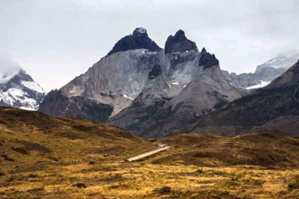 Bergen van Torres del Paine boven de gele steppe
