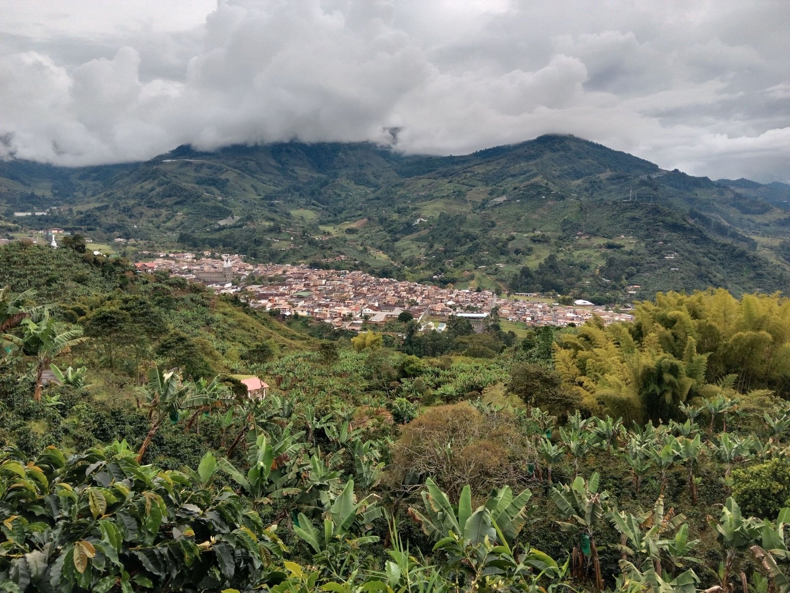 Groene heuvels in de koffiezone van Colombia