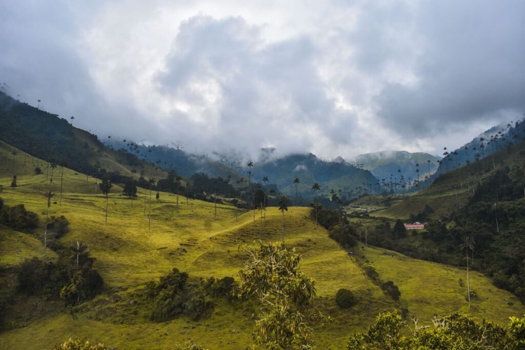 Een strand met grote granieten rotsblokken en jungle in Tayrona National Park