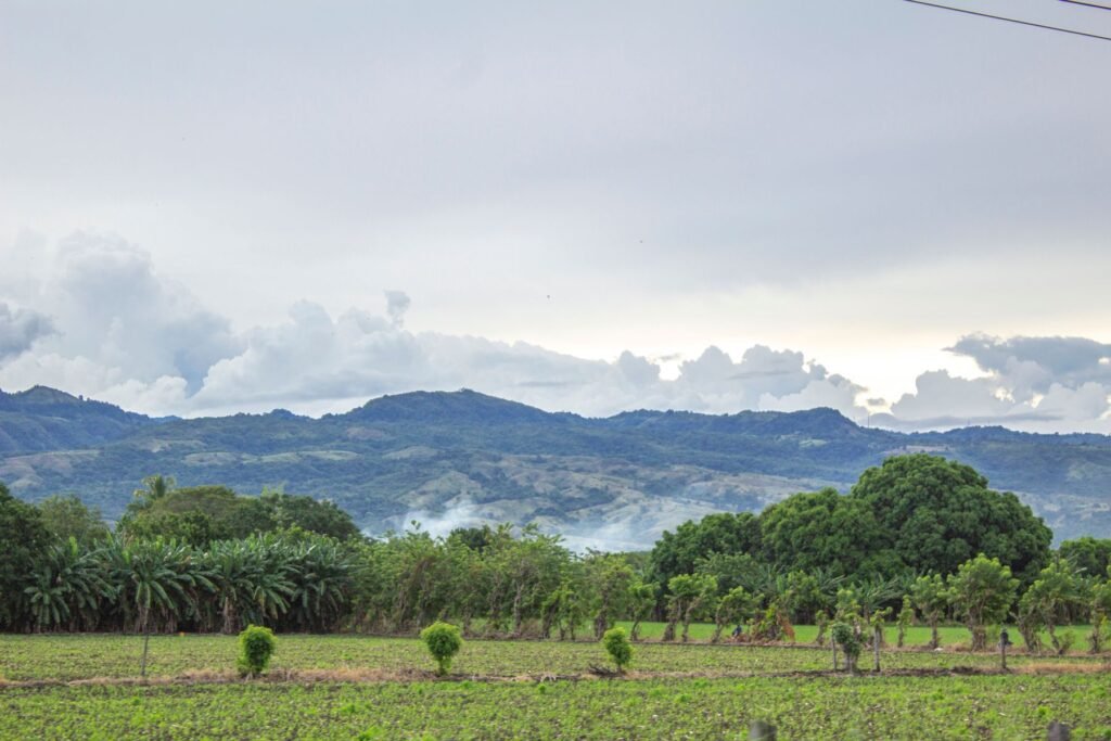 Beboste heuvels rond het bergdorp Minca boven Santa Marta